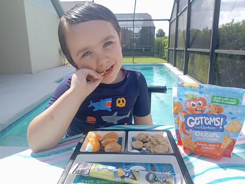 Get'ems! Ocean World Cookies - pupmkin apple cinnamon and kale