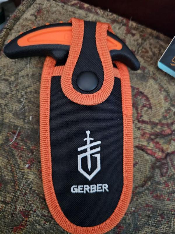 Photo - commentaire 2.