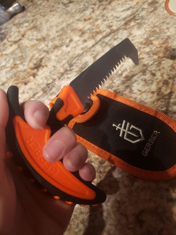 Photo - commentaire 8.