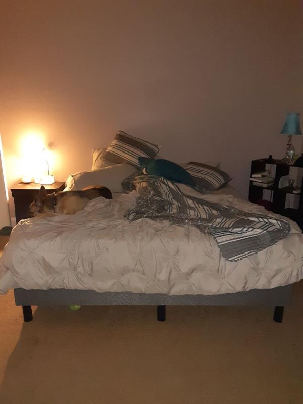 Ghost bed is supernatural.