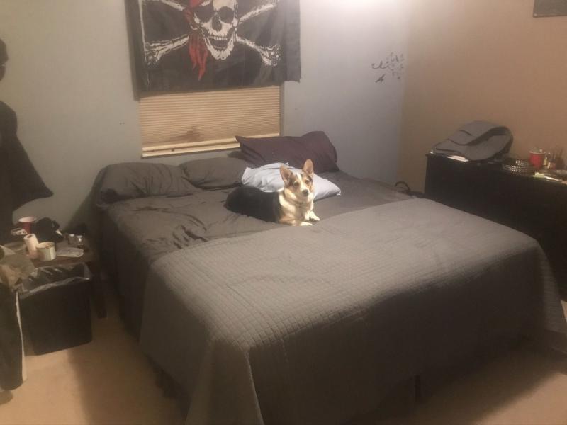 Best sleep I’ve ever had