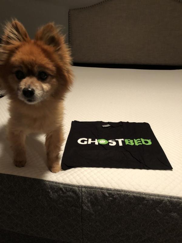 Even I put assembled it!