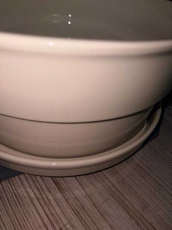Review Thumbnail Image 1 393020147