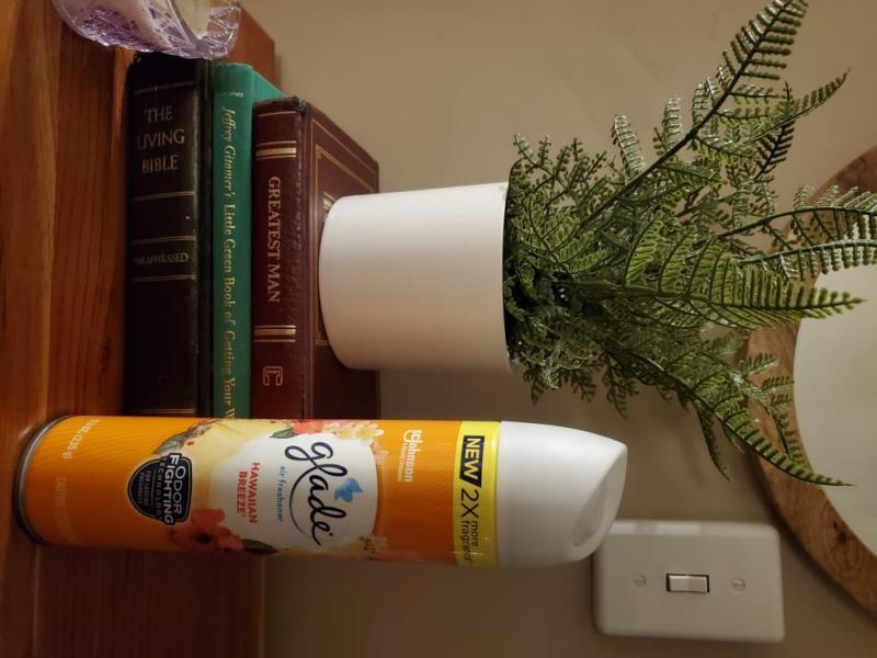 Photo - commentaire 2.