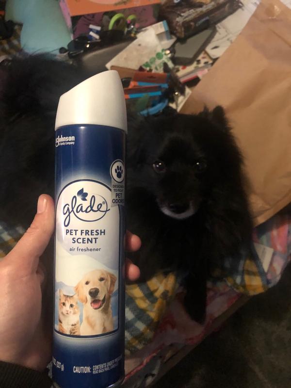 How to Keep House Smelling Good With Dogs: Easy Freshness Tips