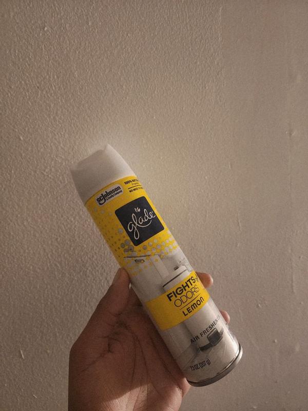 Pebeo Artist Varnish – Matt | Eduspace Supplies - View #10