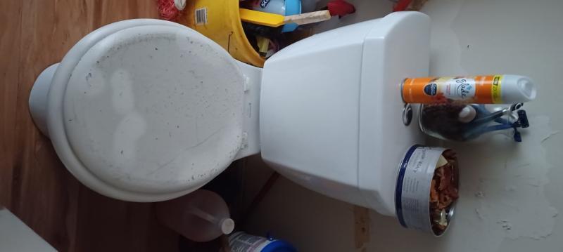 The New glade hawaiian in my toilet