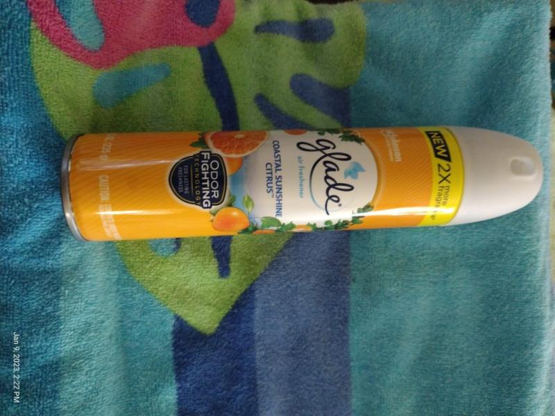 Glade Aerosol Spray, Air Freshener, Coastal Sunshine Citrus Scent with  Essential Oils 8.3 oz