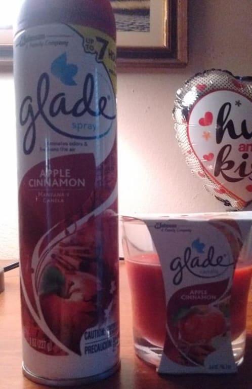 Glade Candle Apple Cinnamon Scent, 1-Wick, 3.4 oz (96 g), 1 Count, Fragrance  Infused with Essential Oils, Notes of McIntosh Apple, Cinnamon Spice, Sweet  Vanilla, Lead-Free Wick Scented Candles, Air Fresheners