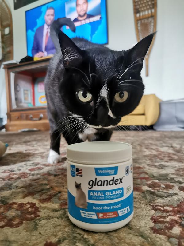 Glandex petco best sale