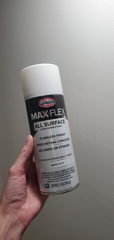 Glidden Max-Flex All Surface Spray Paint - Gloss - Professional Quality  Paint Products - PPG