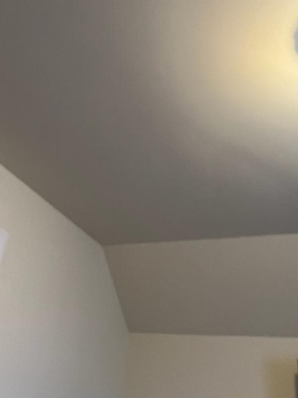 Glidden Ceiling Paint 3070 Shelly Lighting