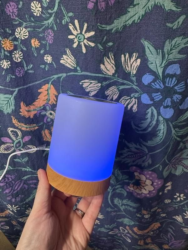 Photo - commentaire&nbsp;6.