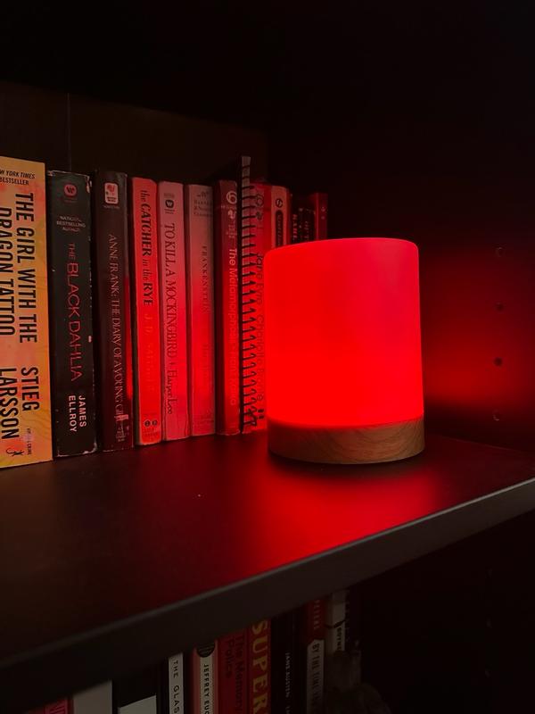 Photo - commentaire&nbsp;8.