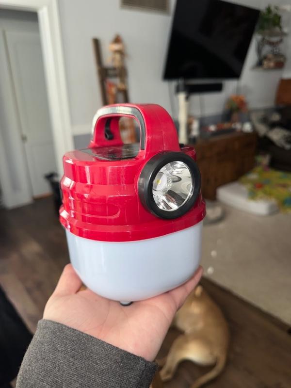 Photo submitted with review of product