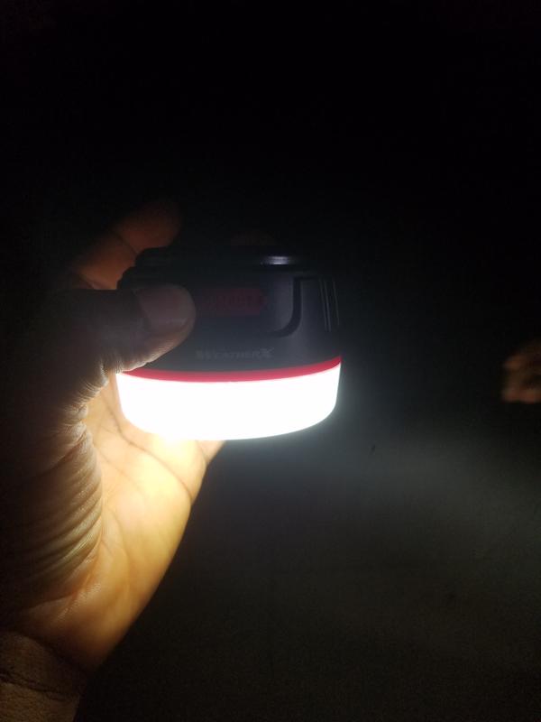 Photo submitted with review of product