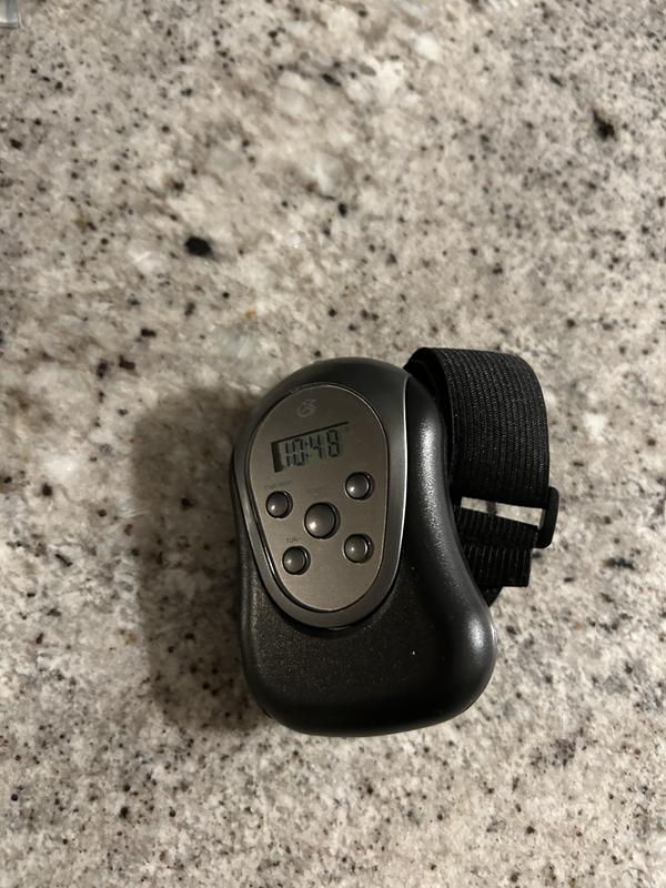 This is the actual device. It is lightweight and has quality sound.