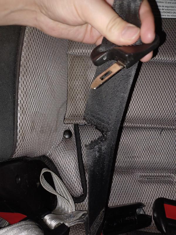 Photo - commentaire 8.