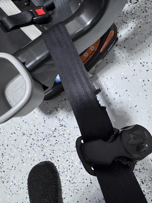 Carseat Harness Graco Baby