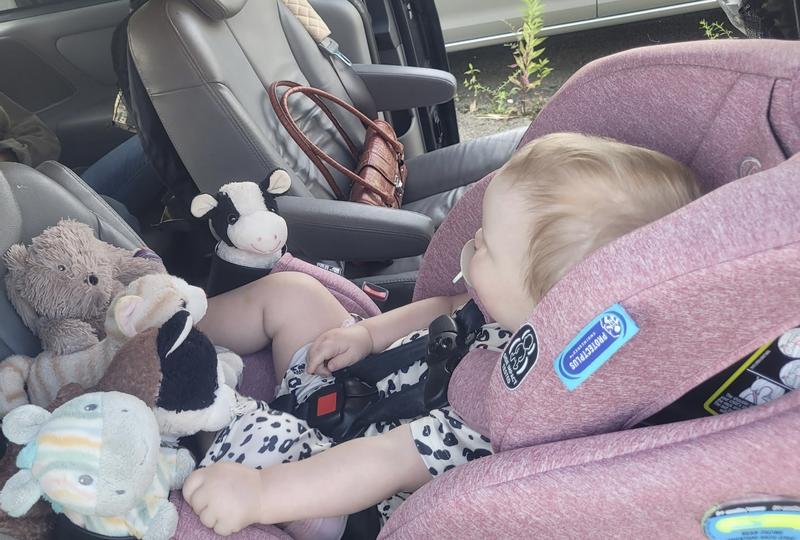 My 20 month old outgrew her infant seat, so we replaced it with this one. Lots of room left to grow!