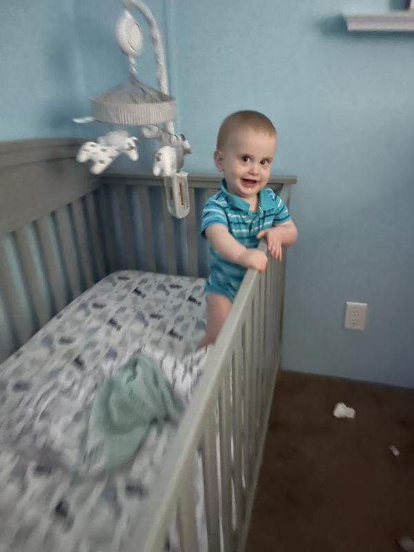 Customer photo 1 of 2. Click to open full size image.