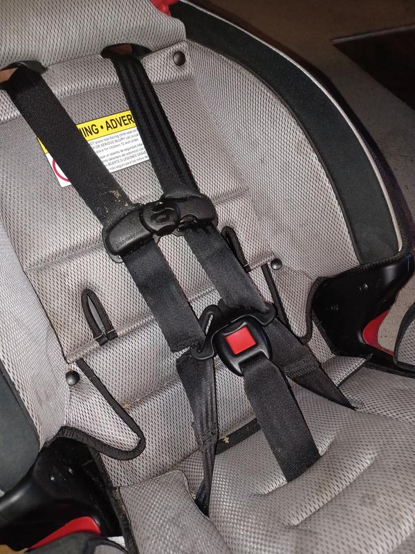 Photo - commentaire 7.