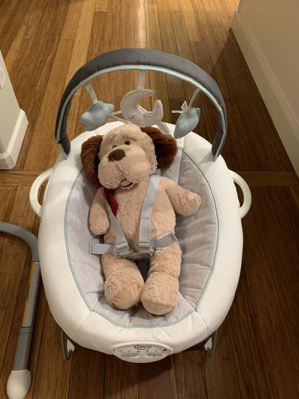 Graco®, Soothe 'n Sway LX Swing with Portable Bouncer | Zola Baby