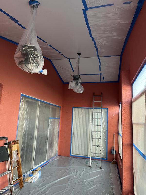 Magnum Project Painter Plus Electric TrueAirless Sprayer