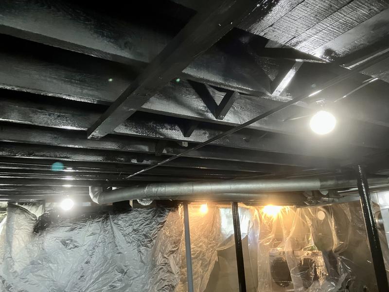 Magnum Project Painter Plus Electric TrueAirless Sprayer