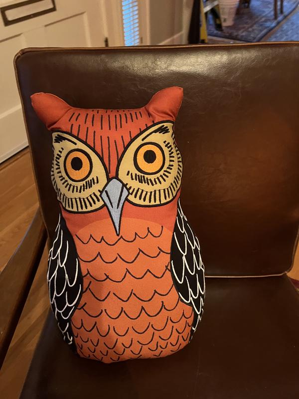 Pottery barn shop owl pillow