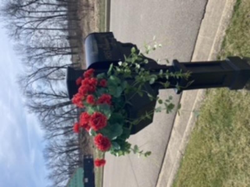 Everlasting Faux Red and White Geranium Window Box Filler