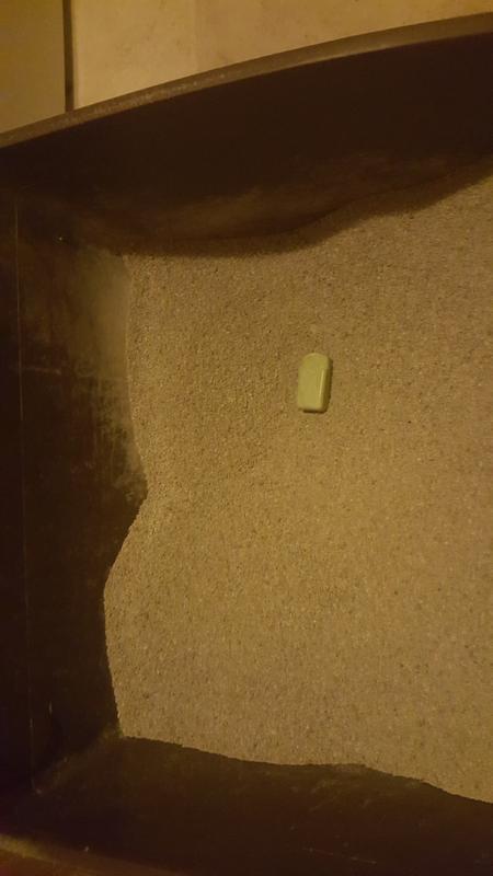 Litter Pod in Box