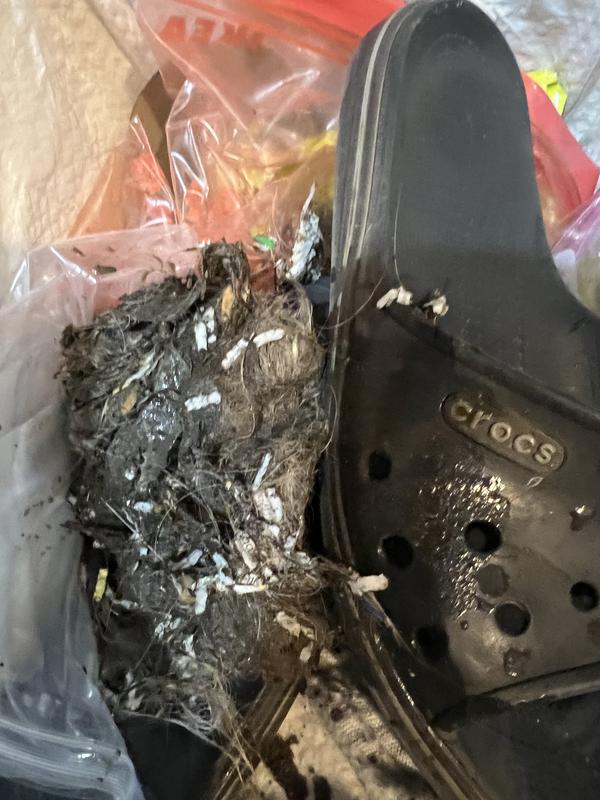 Prolux CTX Water UV Air purifier Bagless Wet/Dry Pet Canister Vacuum ...