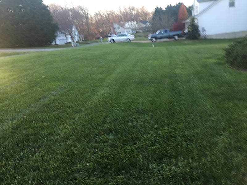 Nuova immagine di Greenview e tante novità