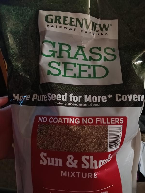 The bag catches your eye with the red