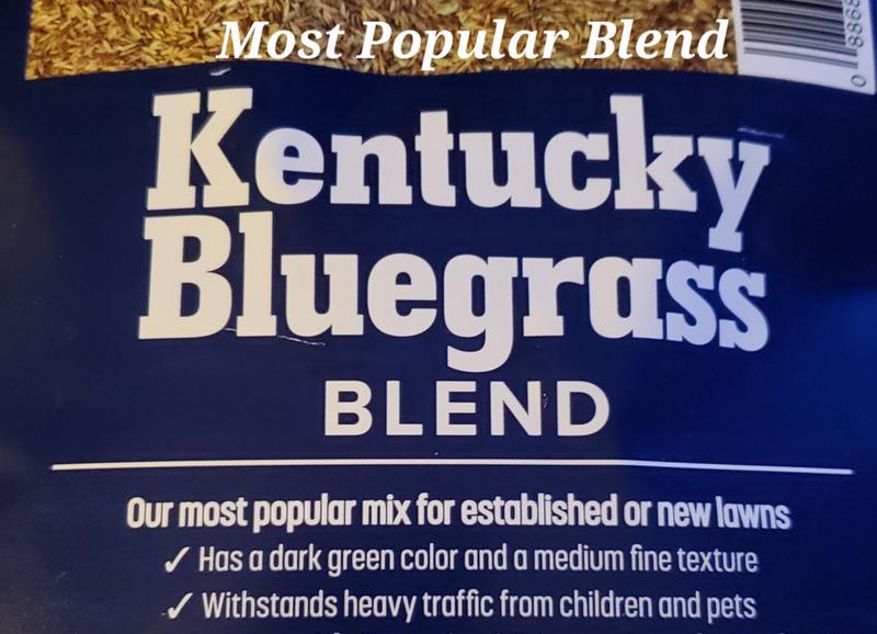 Most Popular Blend