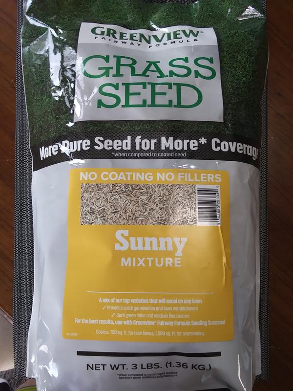 New Grass seed