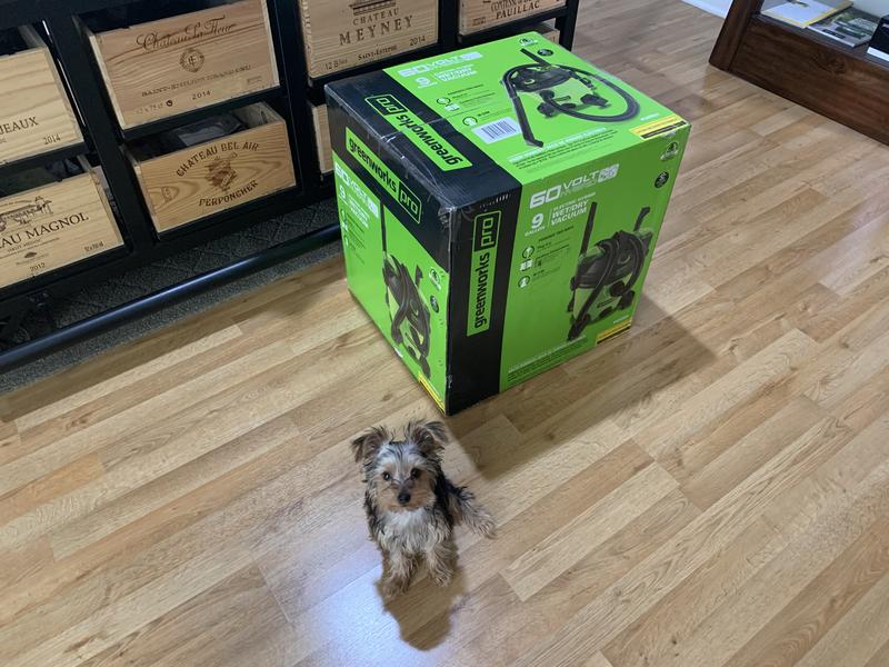 Photo - commentaire 7.