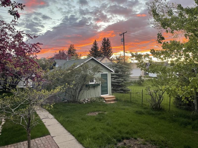 And it looked like this before mowing!