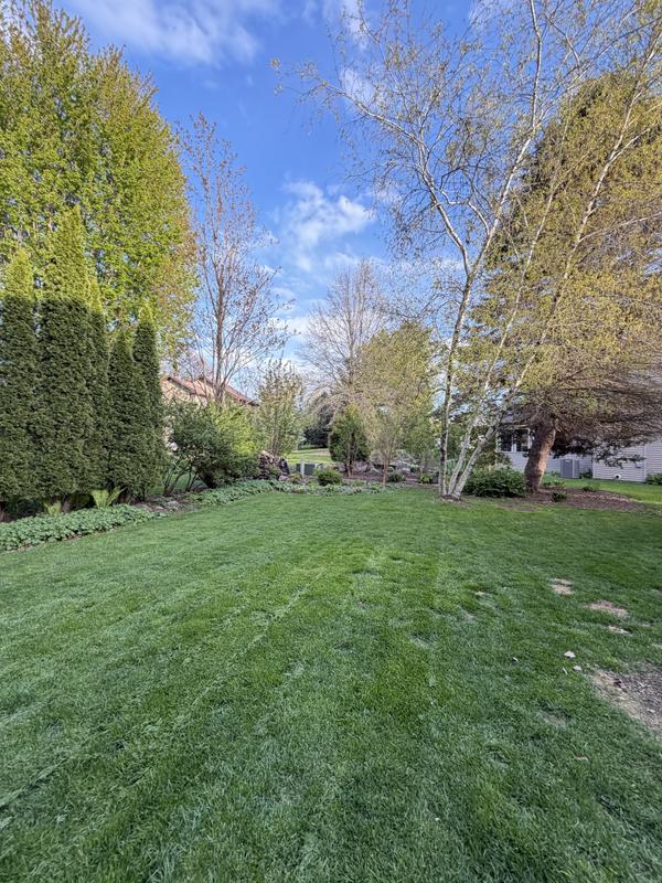 My 2nd Mow