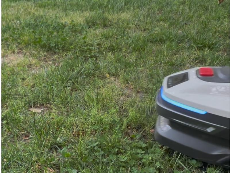 Mower in Action