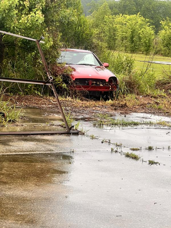 Grass I couldn’t get to