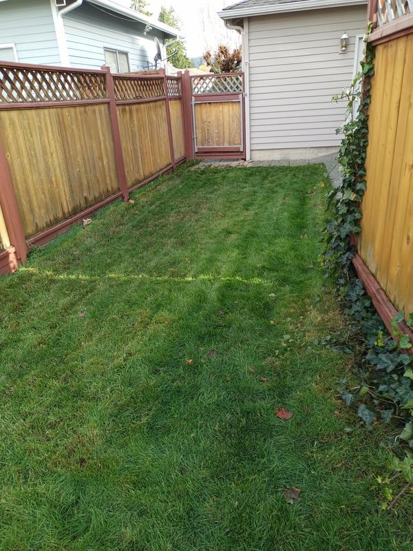 Photo - commentaire&nbsp;1.