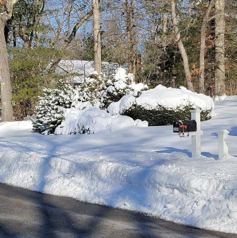 Soo much snow
