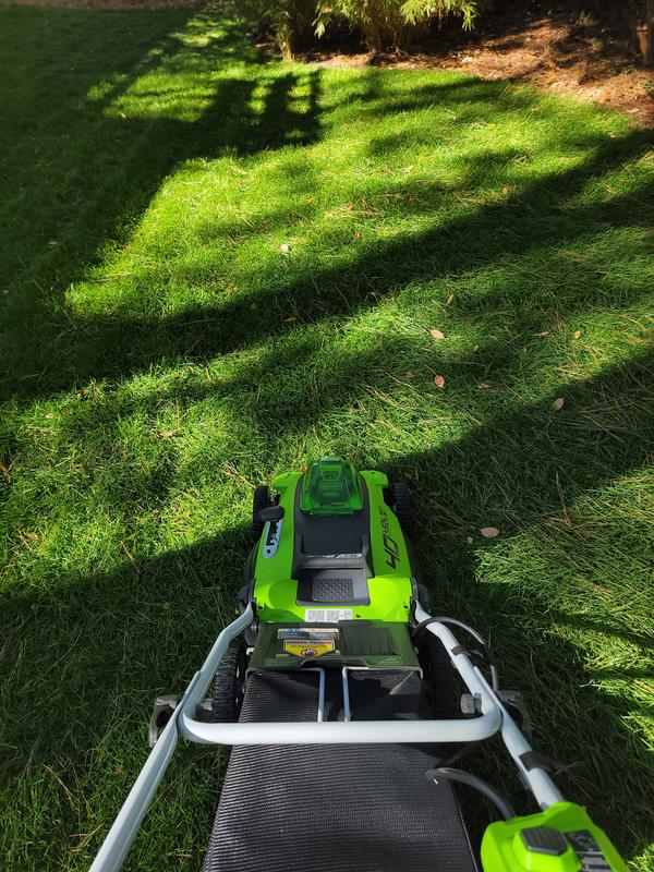 First cut