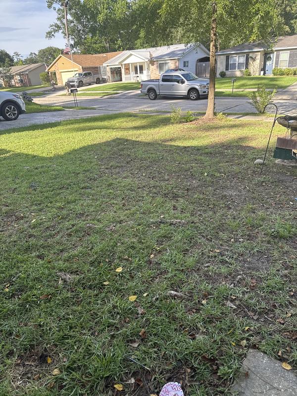 Clean yard😁😁 Happy customer