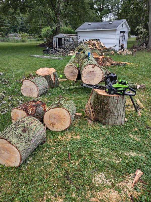 I'm putting a lot of wear and tear on it and it takes it like a champ. Fantastic chainsaw!