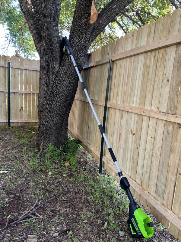 Bye bye Bradford pear!!!