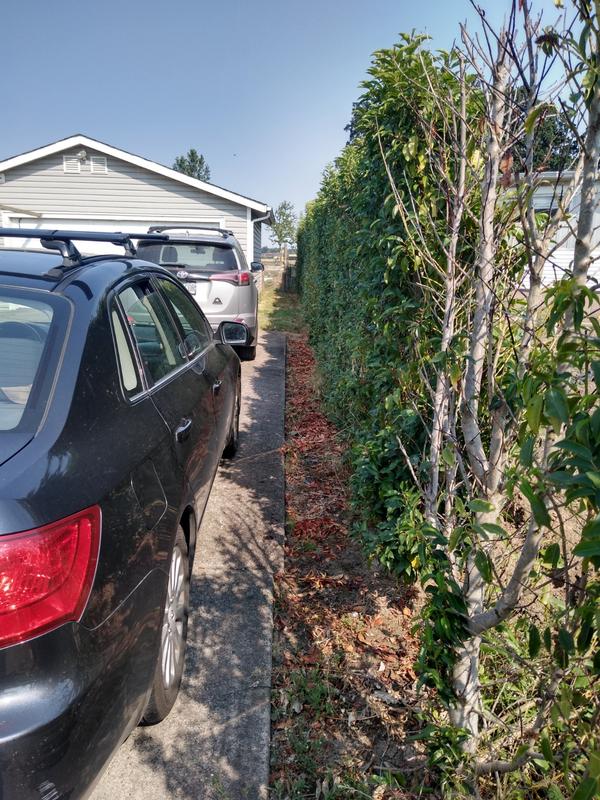 100 ft of hedges done in 10 minutes