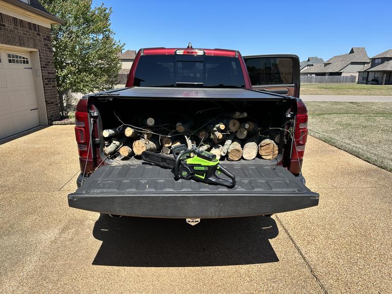 Firewood for next year!